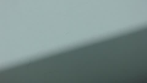 ...Ariana... online show from 10.20.25