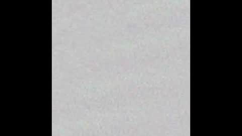 Arianna Collins online show from 11.05.25