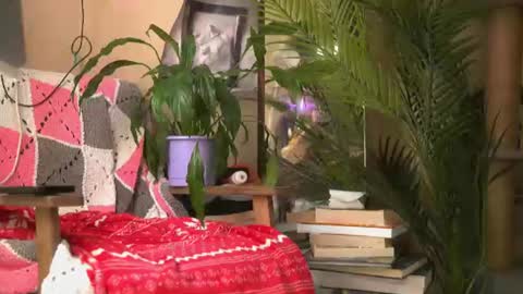 Olivka online show from 08.09.26