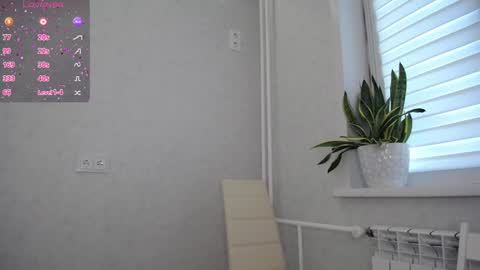 arinamir online show from 09.23.25