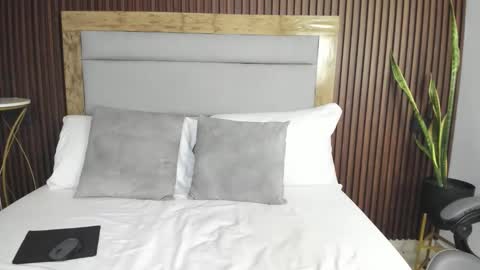 A R I online show from 02.13.26