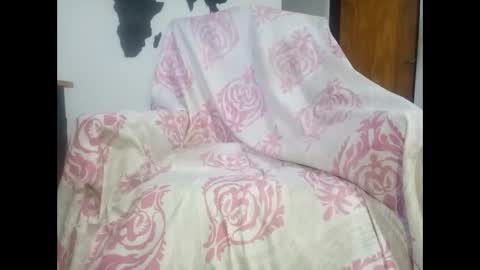 Snapshot of aritolapiz chatting on 10.27.25 aritolapiz online show from 10.27.25