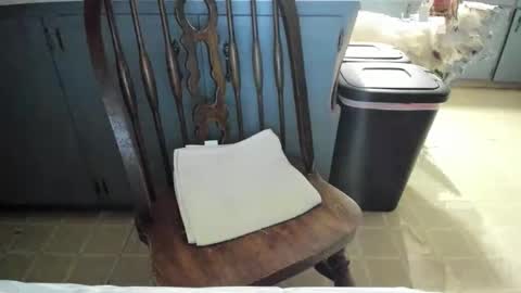 Snapshot of armalite16 chatting on 11.13.25 armalite16 online show from 11.13.25