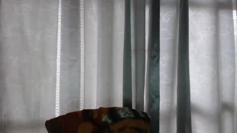 ARMANDO online show from 12.16.25