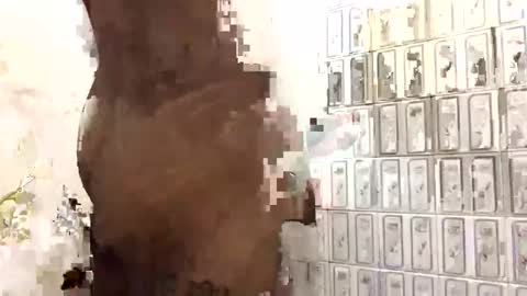 aron_7 online show from 02.02.25