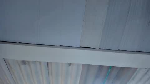 FENIX online show from 10.15.25