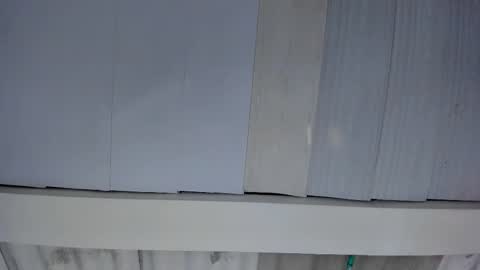 FENIX online show from 10.19.25