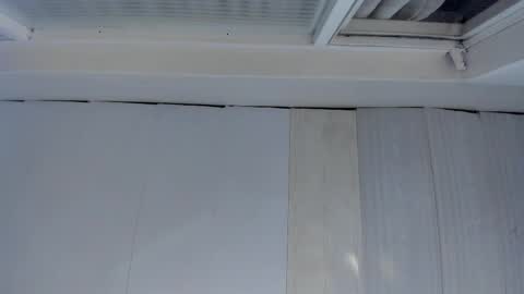 FENIX online show from 11.01.25