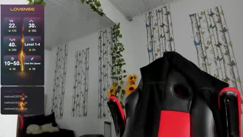 antoni online show from 09.08.25