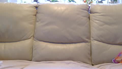 aryton_67 online show from 01.26.25