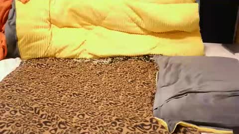 ashlery  online show from 11.17.25