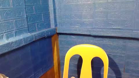 asian_decy online show from 02.20.26