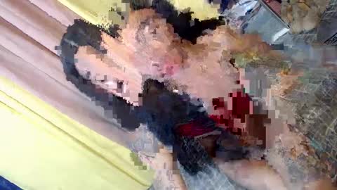 don online show from 01.30.25