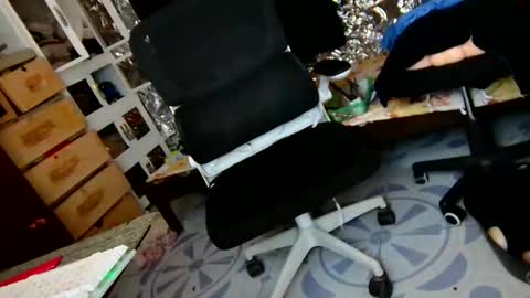 Trish online show from 12.01.25