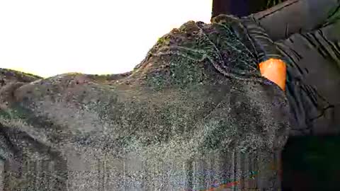 Snapshot of assiology11 chatting on 03.12.25 Assiology online show from 03.12.25