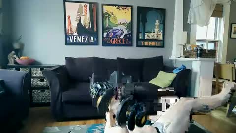 assmaster_6100 online show from 02.11.25