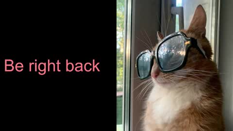 Astra  online show from 02.17.25