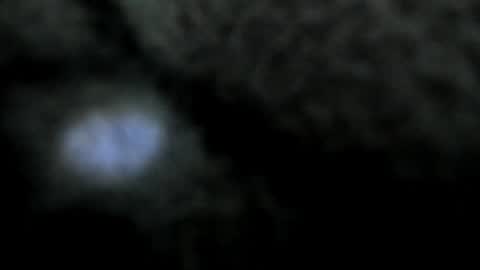 Snapshot of atilana_diaz chatting on 12.30.24 Atilana Diaz online show from 12.30.24