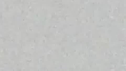 Carolina online show from 07.23.26