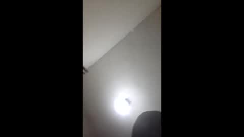 Perroamarillo online show from 04.13.26