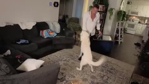 Aurora and Orion online show from 10.16.25