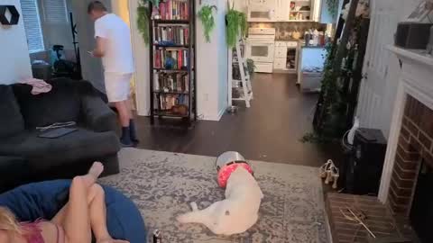 Aurora and Orion online show from 11.03.25