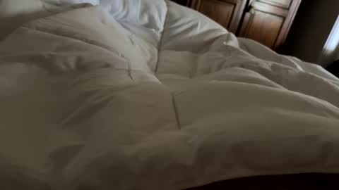 aussieguy1584 online show from 02.21.26