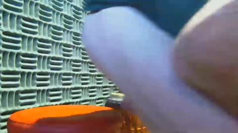 aussieraz online show from 04.19.26