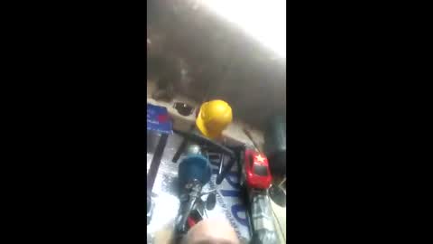 Pluke online show from 01.26.25