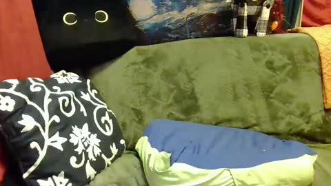 raven blue online show from 01.06.25