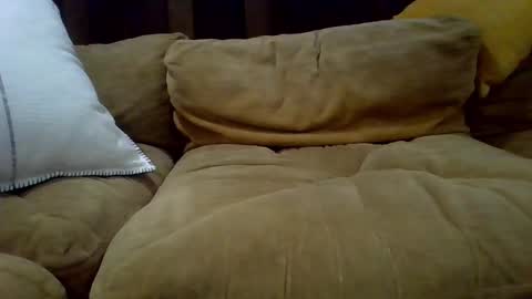 averagecock696969 online show from 02.23.25