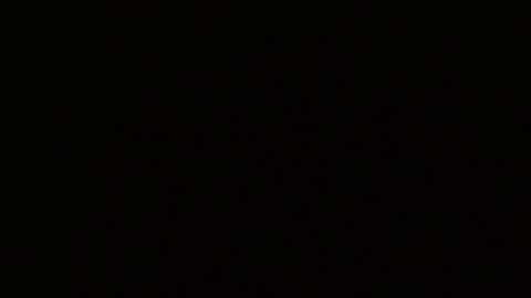 Alex online show from 02.03.26