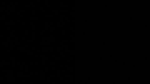 Axell Cross2 online show from 11.04.25