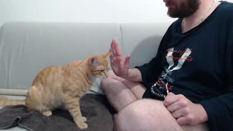 Azer online show from 11.28.25