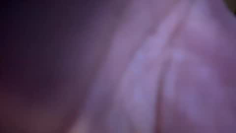 Snapshot of baby_buddha chatting on 01.29.25 baby buddha  online show from 01.29.25