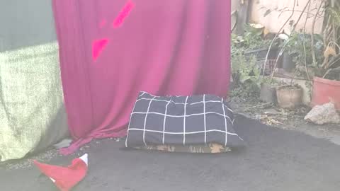 Snapshot of bad_wolf28 chatting on 11.25.25 bad_wolf28 online show from 11.25.25