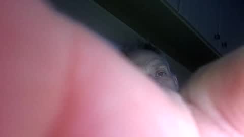 Snapshot of badger150 chatting on 12.22.24 badger150 online show from 12.22.24