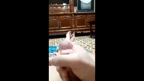 Snapshot of bahaa5555 chatting on 02.12.26 bahaa5555 online show from 02.12.26