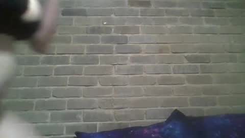 Chaterlain online show from 02.13.25