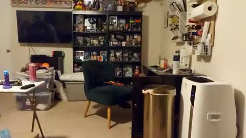 Snapshot of baneisher chatting on 02.24.25 Baneisher online show from 02.24.25