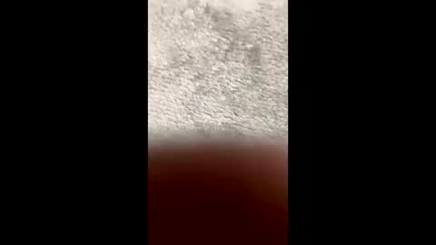 BarbaraDavid online show from 03.10.26