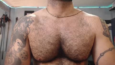 bardock online show from 02.01.25