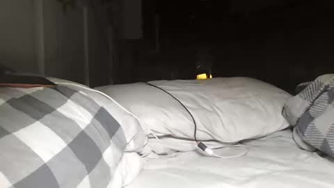 nevametafreaklikemeb4 online show from 03.24.26