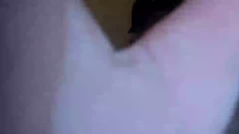 barniemay1 online show from 07.05.26