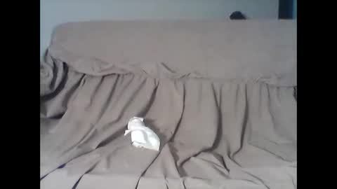 barrysand online show from 11.11.25