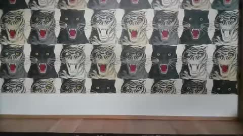 Bas online show from 03.06.25