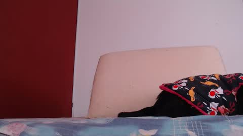 bayonette_black online show from 09.26.25