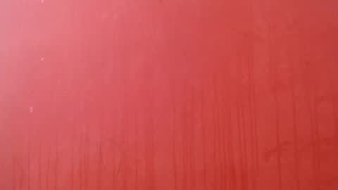 bayonette_black online show from 01.07.26