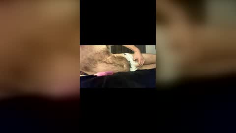 Baz online show from 01.18.26