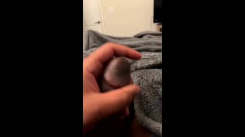 bbc4_fun online show from 02.23.25